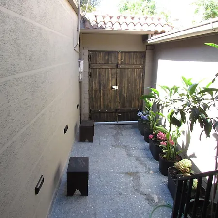 At Mimosa Street * Tirana