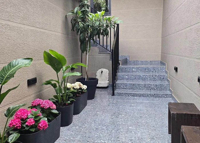 At Mimosa Street فندق تيرانا